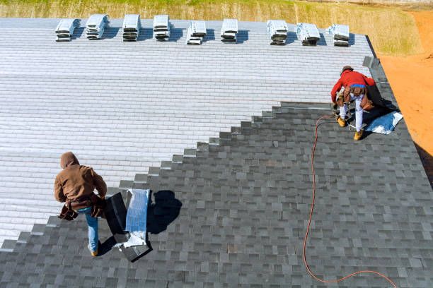 Best Gutter Installation and Roofing  in Dayton, MN