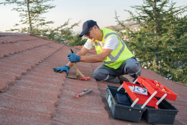Best Flat Roof Repair Services  in Dayton, MN