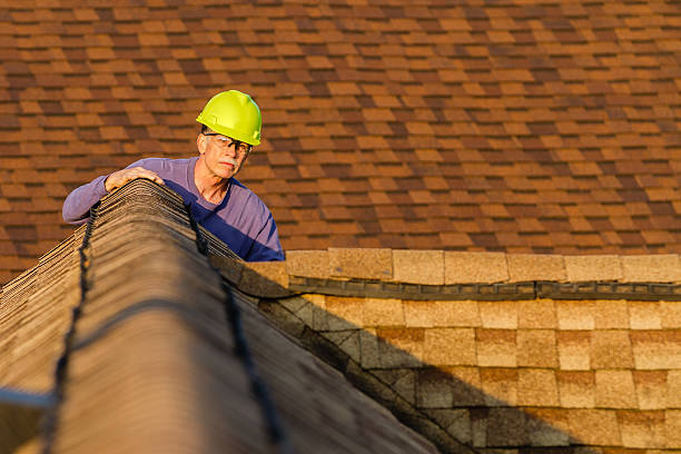 Best Roof Repair Estimates  in Dayton, MN