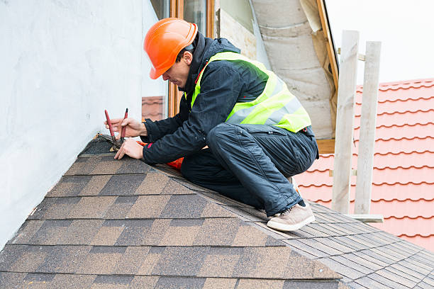 Best Storm Damage Roof Repair  in Dayton, MN