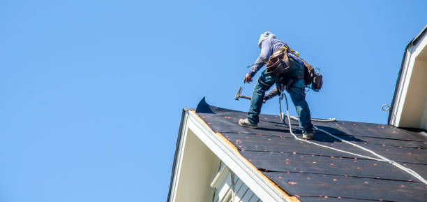 Best Gutter Installation and Roofing  in Dayton, MN